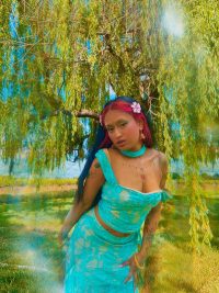Venus Vixen 15